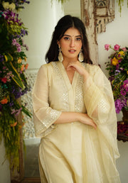 Soft chanderi Kurta with foil mirror work embroidery